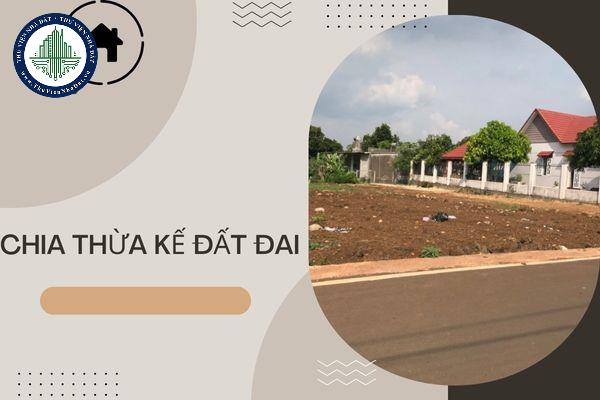 okevipp.com