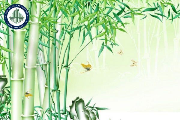 okevipp.com