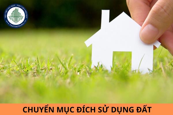 okevipp.com