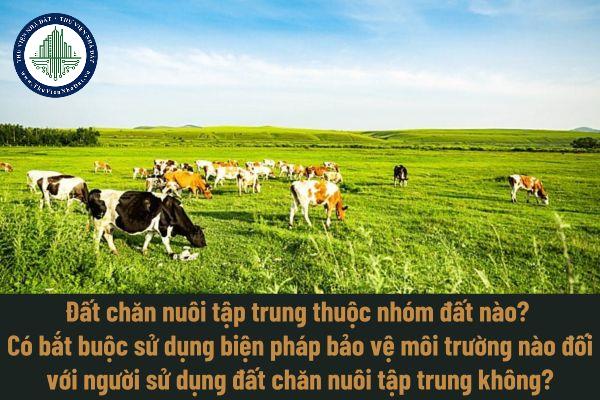okevipp.com