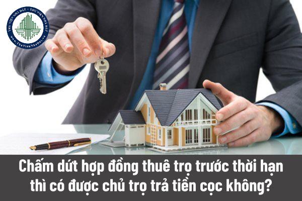 okevipp.com