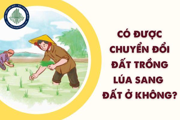 okevipp.com