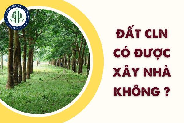 okevipp.com
