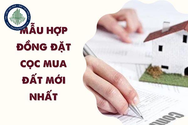 okevipp.com