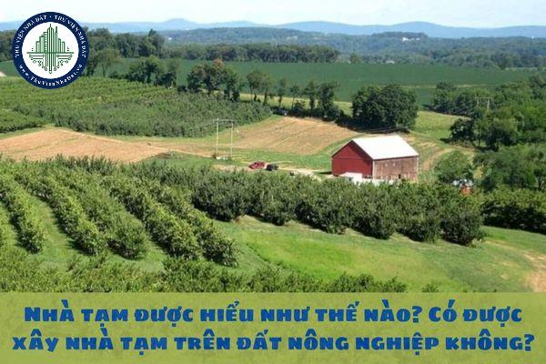 okevipp.com