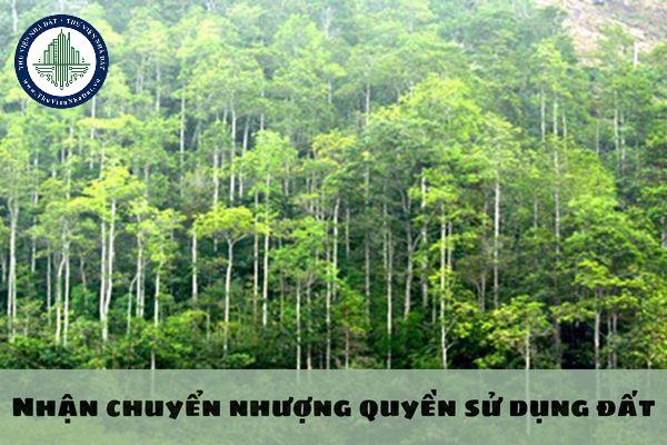 okevipp.com