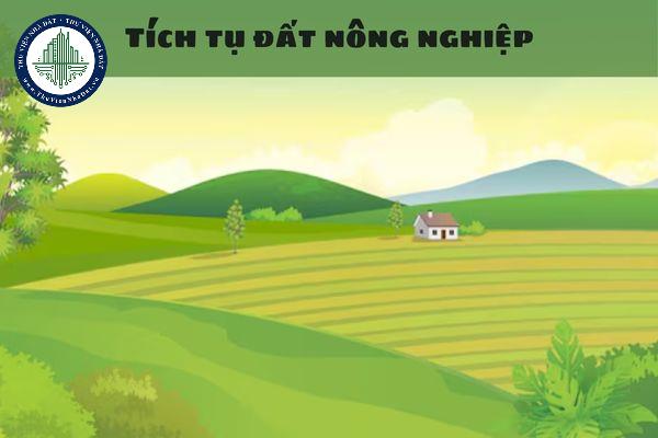 okevipp.com