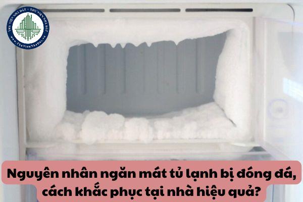 okevipp.com