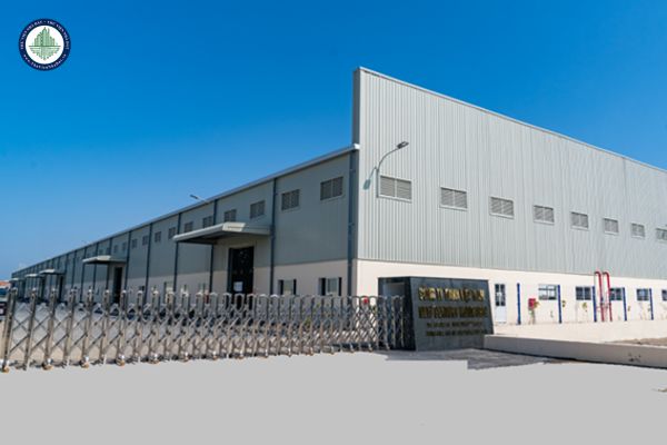 okevipp.com