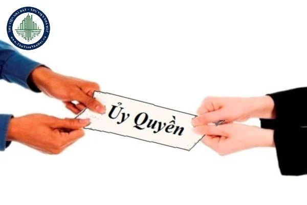 okevipp.com