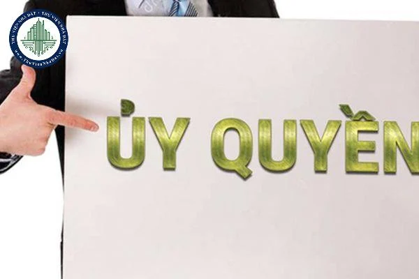 okevipp.com
