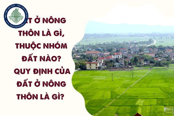 okevipp.com