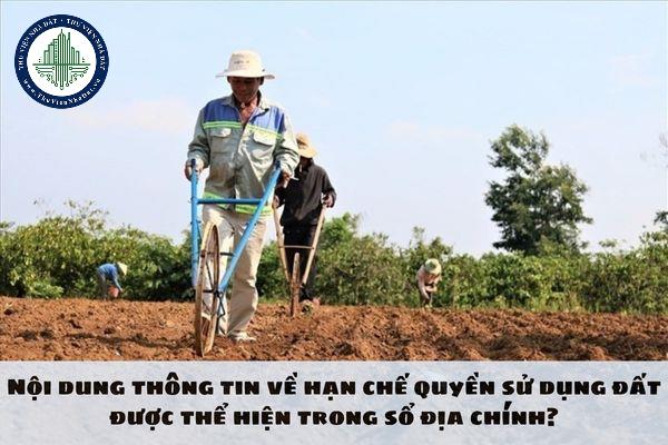 okevipp.com