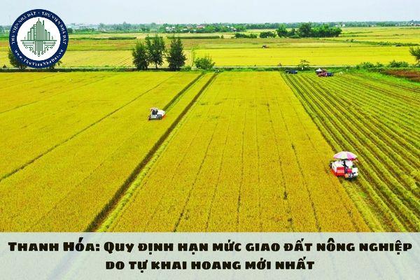 okevipp.com