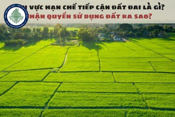 okevipp.com