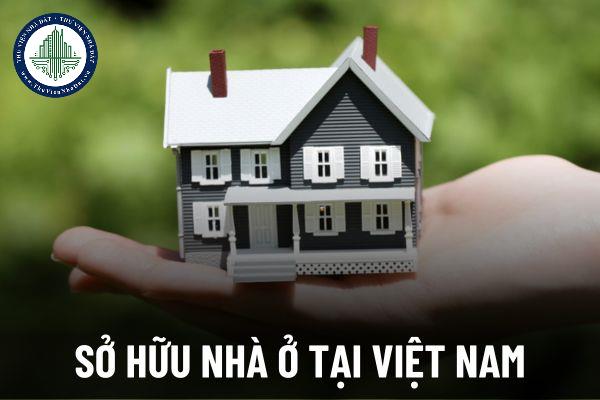 okevipp.com