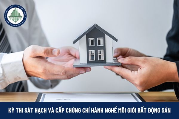 okevipp.com