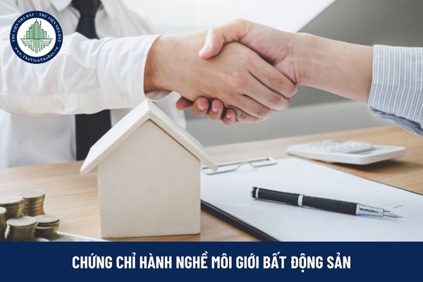 okevipp.com