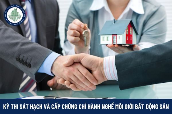 okevipp.com