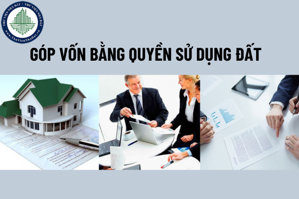 okevipp.com