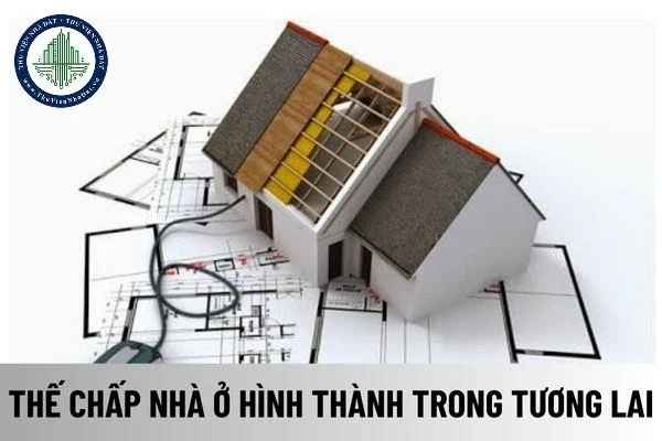okevipp.com