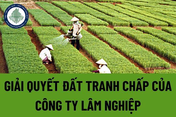 okevipp.com