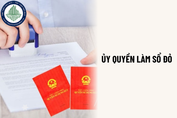 okevipp.com