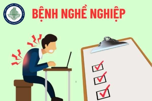 okevipp.com