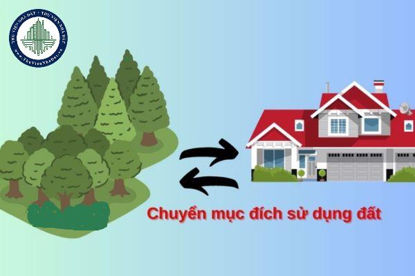 okevipp.com