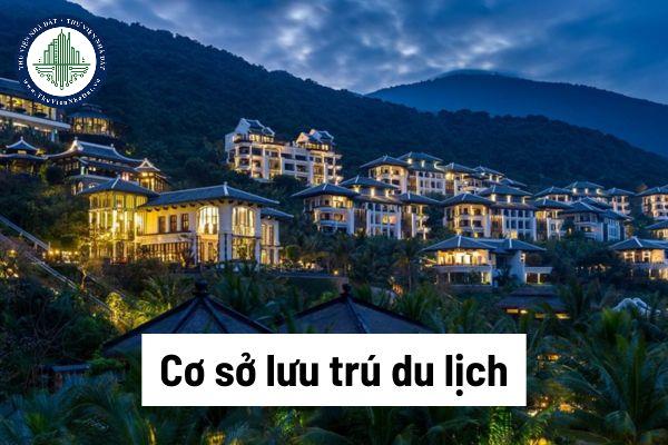 okevipp.com