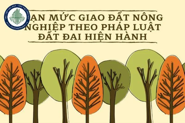 okevipp.com