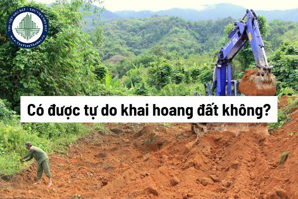 okevipp.com
