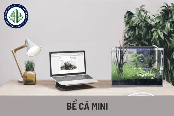 okevipp.com