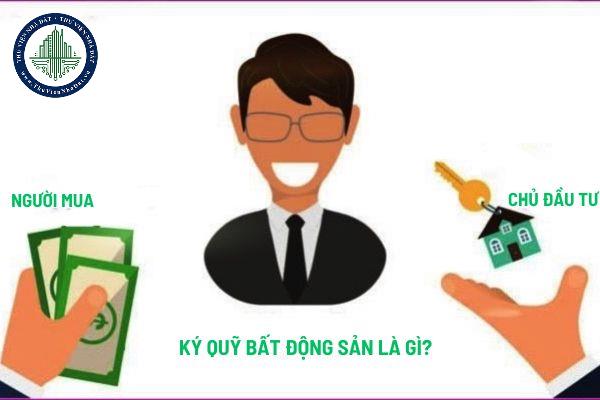 okevipp.com