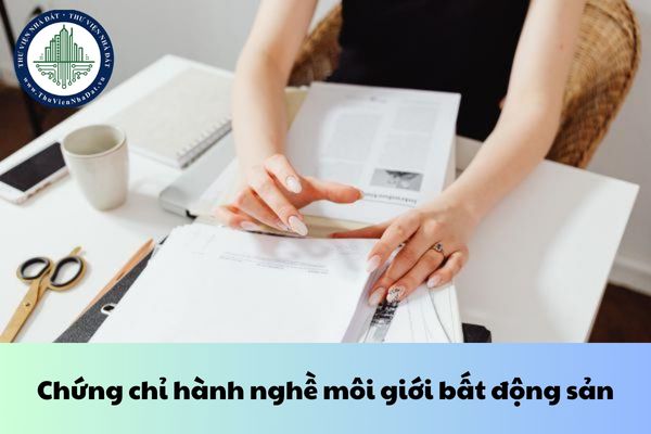 okevipp.com