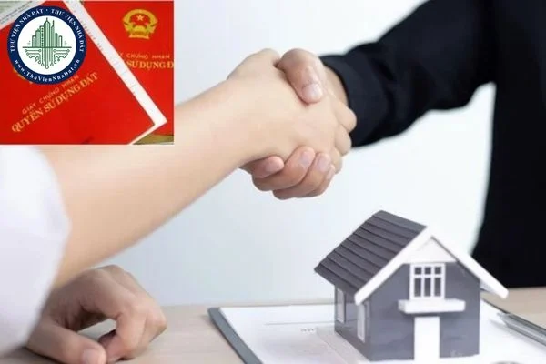 okevipp.com