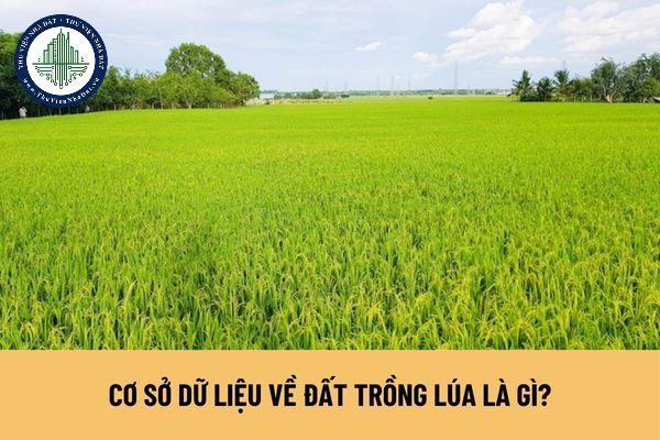 okevipp.com