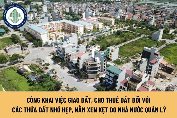 okevipp.com
