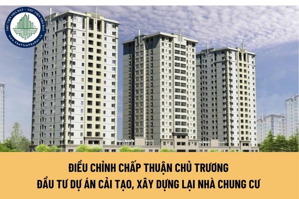 okevipp.com