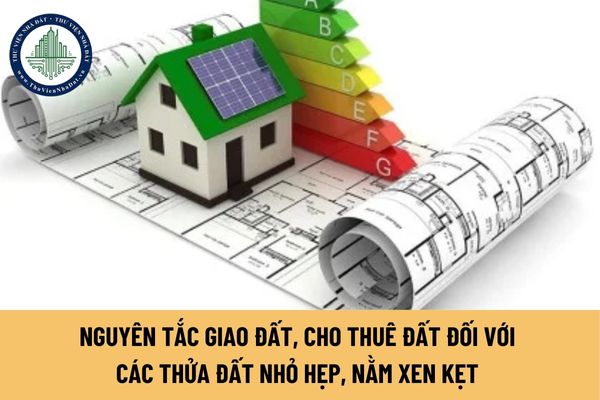 okevipp.com