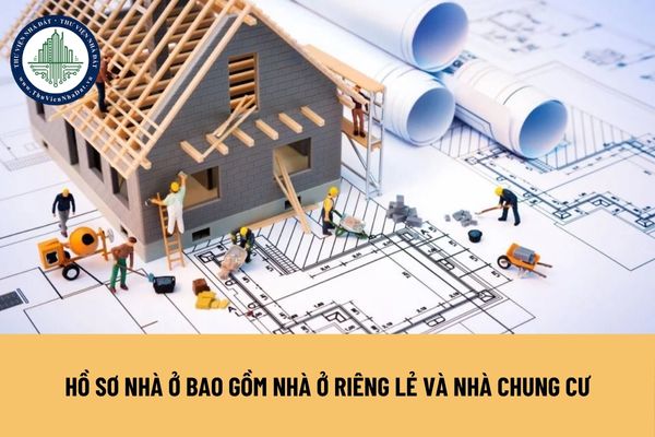 okevipp.com