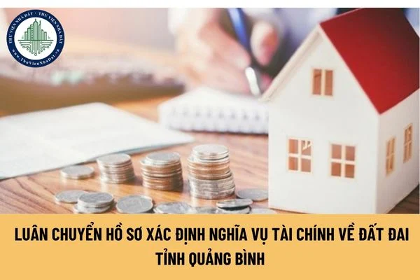 okevipp.com
