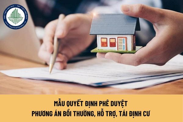 okevipp.com