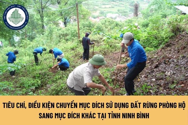 okevipp.com