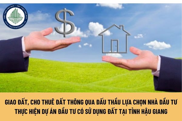 okevipp.com