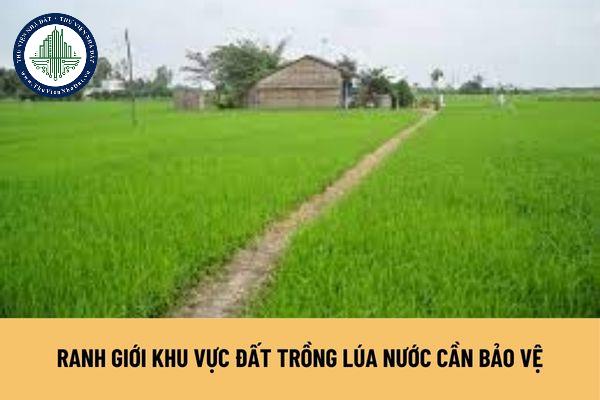 okevipp.com