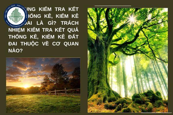 okevipp.com