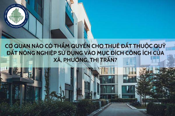 okevipp.com