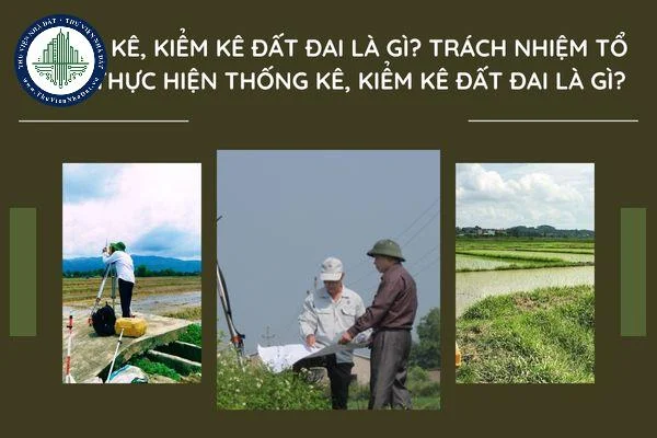 okevipp.com