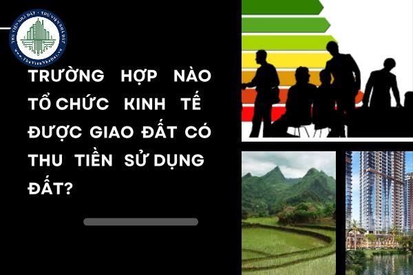 okevipp.com